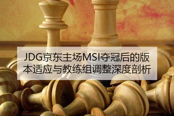 jing-dong-zhu-chang-duo-guan-hou-de-ban-ben-shi-ying-yu-jiao-lian-zu-tiao-zheng-shen-du-pou-xi-2-478.jpg
