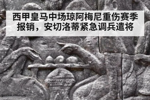 西甲皇马中场琼阿梅尼重伤赛季报销，安切洛蒂紧急调兵遣将